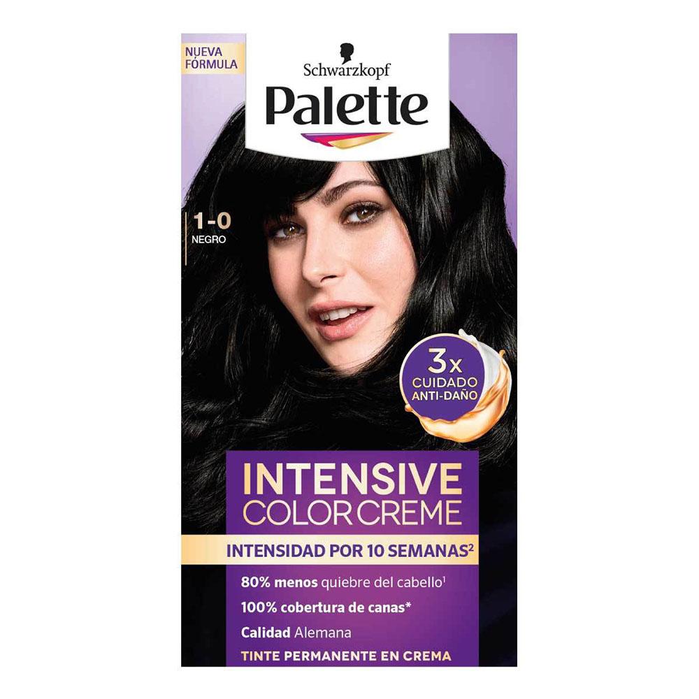 Tinte Palette Para Cabello Negro 1-0